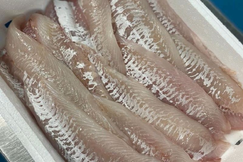 FILETTO DI EGLEFINO 1/200